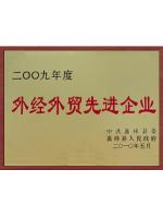 外經(jīng)外貿(mào)先進(jìn)企業(yè)